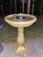 Fantasia Solar Butterfly Bird Bath