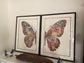 Butterfly Collage Art with Black PS Frame 2 Halves 2 Frames