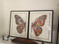 Butterfly Collage Art with Black PS Frame 2 Halves 2 Frames