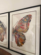 Butterfly Collage Art with Black PS Frame 2 Halves 2 Frames