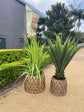 Mocassa Pair Metal Planter Pots New Design by Fandango 360