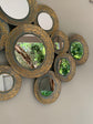 Mimosa Mirror Metal Wall Art