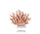 Corallina True Ocean Colour Corals