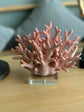 Corallina True Ocean Colour Corals