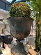 Planter Dark Green Grey Birds Design