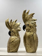 Gold Cockatoos Real Look Set 2 Goldies