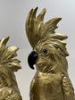 Gold Cockatoos Real Look Set 2 Goldies