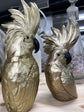 Gold Cockatoos Real Look Set 2 Goldies