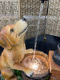 Perrito Dog with Tap Fountain Man&