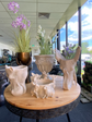 Plantadora Vines & Stones Planter